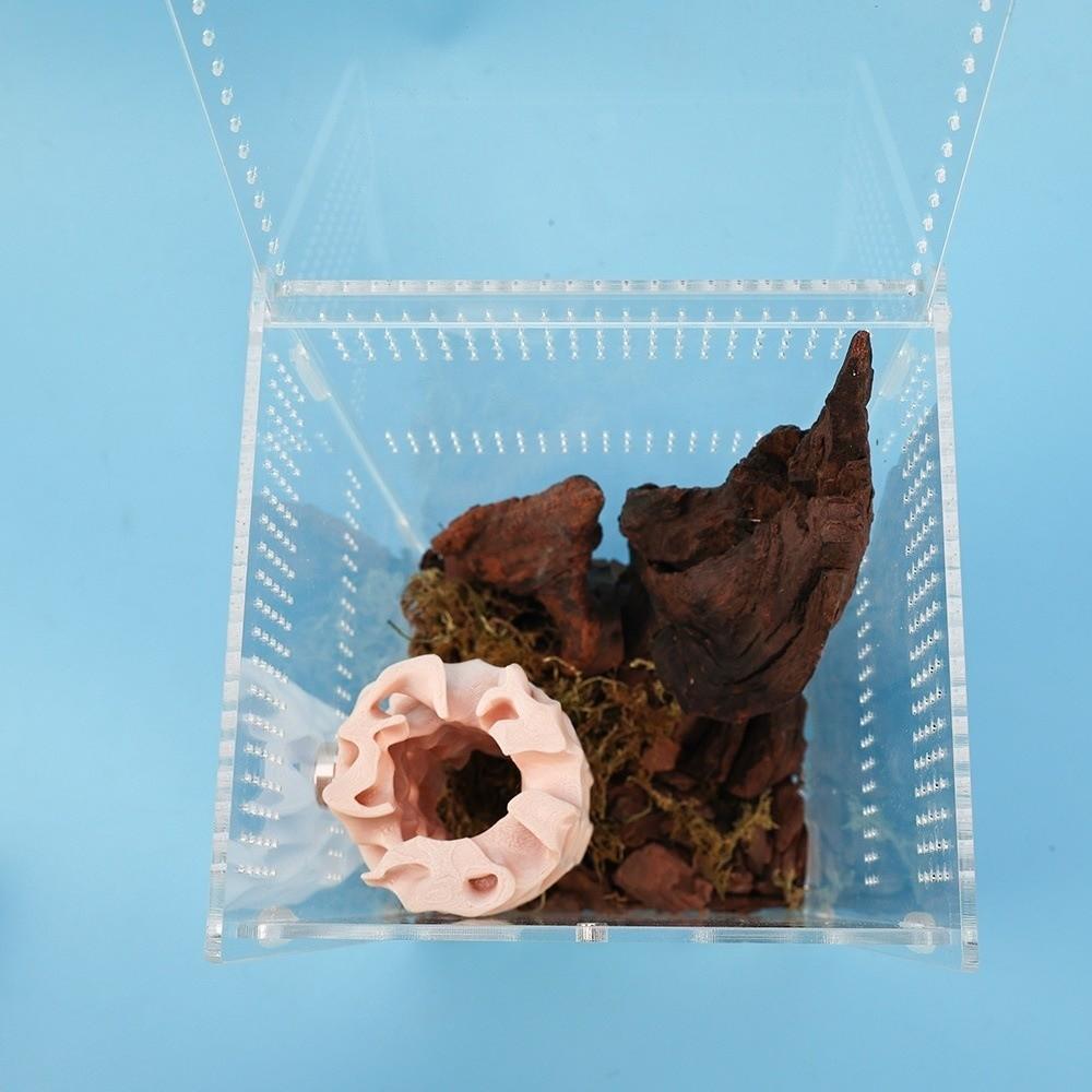 Ventilated Structure Jumping Spider Habitat Climbing Tunnel Innovative Gecko Habitat Plastic Amphibian Enclosure Spider Climbing