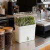 Large Capacity Vegetable Keeper Plastic Herb Lettuce Keeper  Prolongs Produce Life