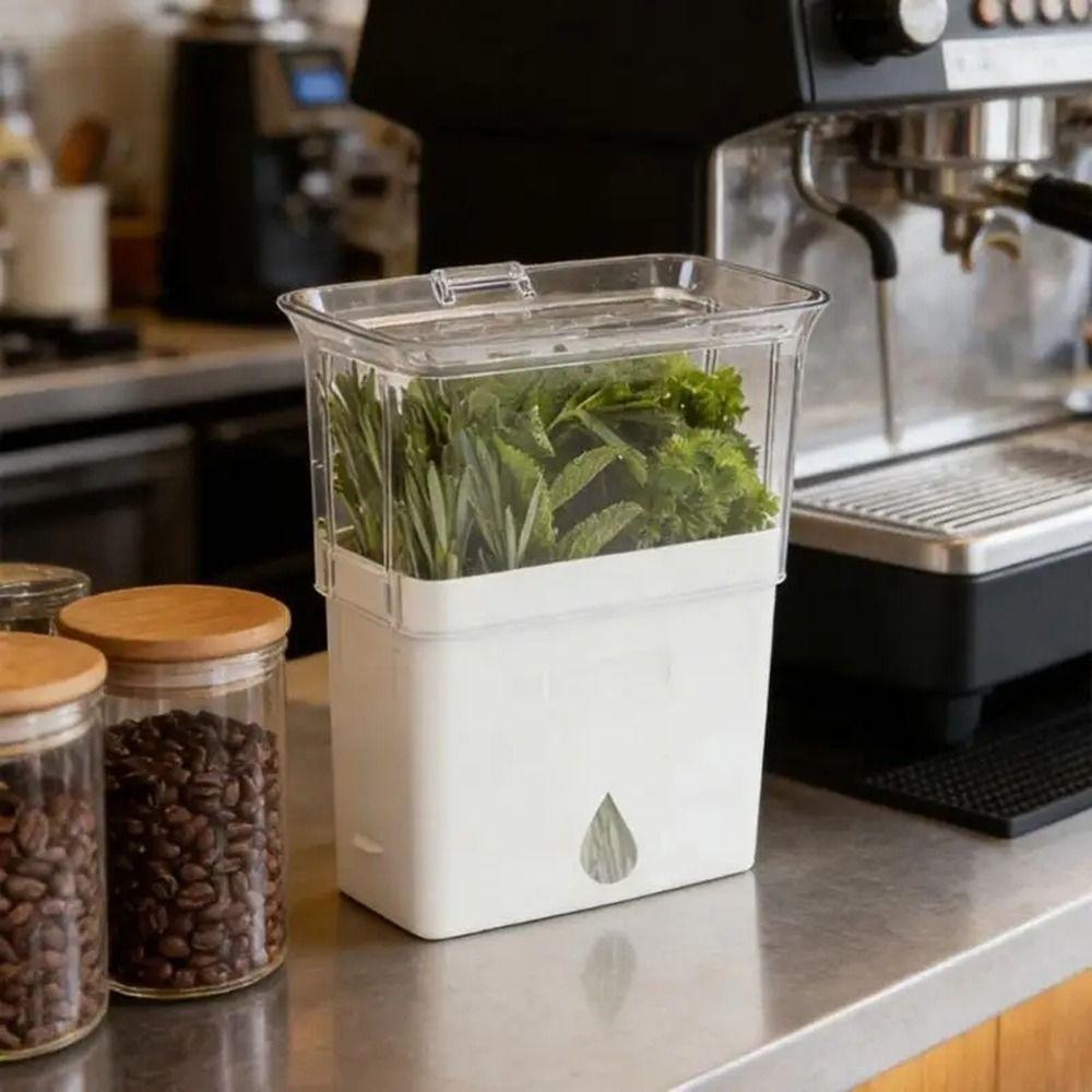 Large Capacity Vegetable Keeper Plastic Herb Lettuce Keeper  Prolongs Produce Life