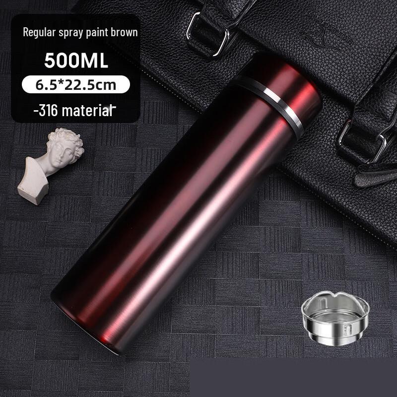 ZISIZ Portable Business Vacuum Flask with Tea Infuser 500ml
