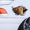 3D Cow Car Sticker, Fun Waterproof Sticker for Cars, Trucks, Motorcycles, Walls, Windows, PVC Material