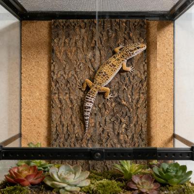 Kora Dębu Korek Wodoodporny Zabawka do Wspinaczki Ćwiczeń Terrarium Naturalna Kora Dębu Dla Węża Jaszczurki Żółwia Gekona Żółwia