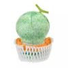 Disney Plush Doll Urupocha-Chan Donald Summer Fruits Japan NEW Disney Store