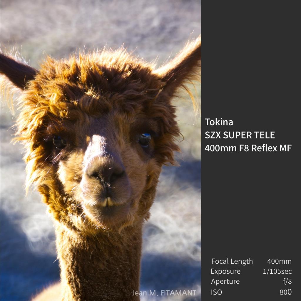 Tokina SZX Super Tele 400mm Reflex MF Telephoto Mirror Micro Four Thirds Manual Interchangeable Product Number 634745 f/8 Lens, Mount, Focus, Mount,