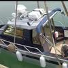 Marine Boat Fenders PVC Bumpers Reinforced Eyelet Fenders Simple Installs for Docking & Collision Resistance of Yachts