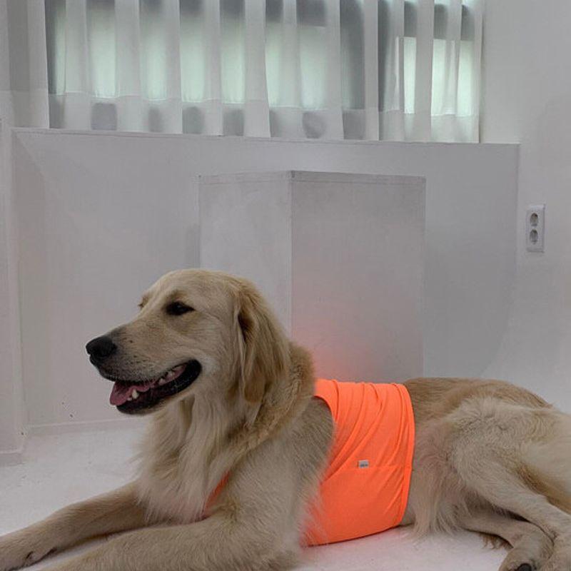 BARKDOG Functional Fluorescent Cool Crop Strappy Tank Top M-6XL 3 Colors