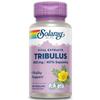 Solaray Tribulus Fruit Extract Vegetable Capsules 450mg 60 Pcs 1 Pcs