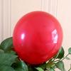 Frosted Round Balloons - 5", 10", 12" Thickened Latex for Birthday & Wedding Decorations