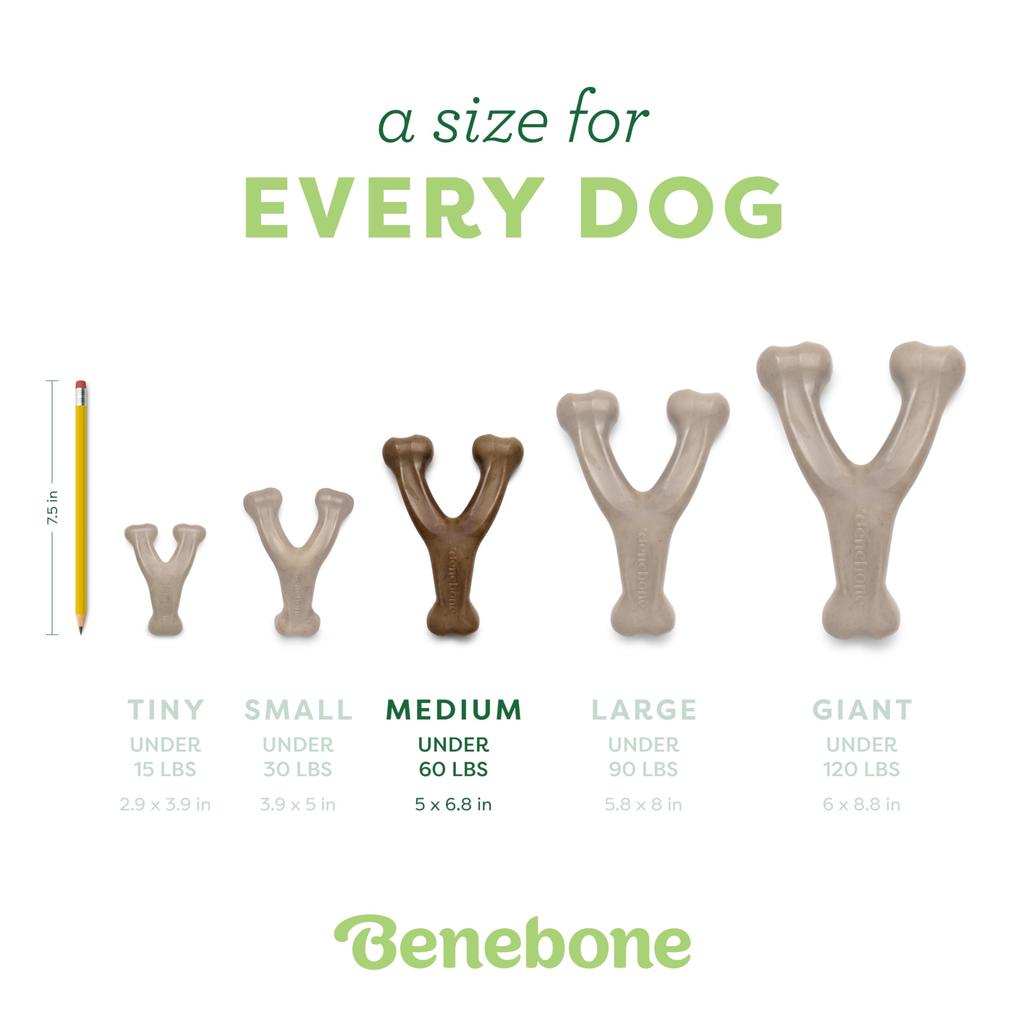 Purful Benebone Roast Chicken Flavor Chew Medium Co., Ltd. Bone-Shaped Toy, (Imported)