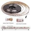 SMD 5050 RGB LED Strip Waterproof DC 12V 24V LED Light Strips 1m 5M 300LED 60LED/M RGB Flexible Neon Tape Luz Home Christmas Lig