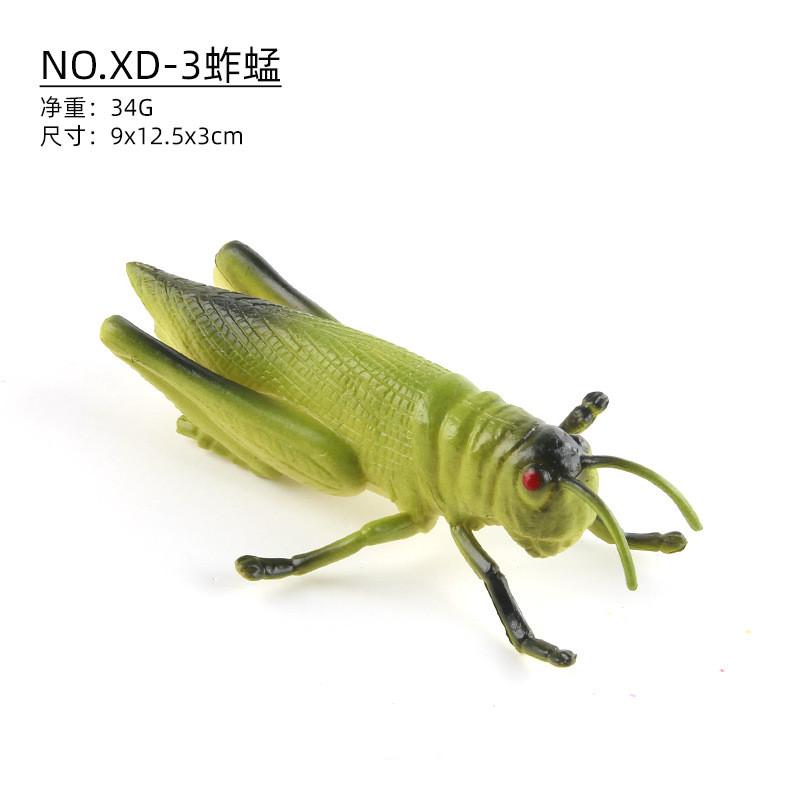 Realistic Pvc Insect Model Set Featuring Beetles Butterflies Ladybugs Caterpillars And More