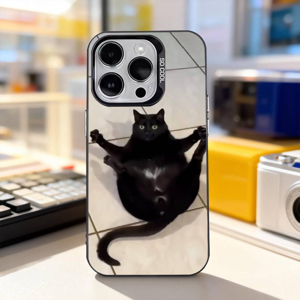 Funny Cat Memes Cute Phone Case For iPhone 11,12,13,14,15,16,17,Pro,Max,Plus,E,Air,Mini IMD Matte Black