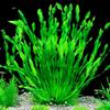 Artificial Water Grass Aquarium Decor Underwater Plants Fake Green Aquatic Plant for Fish Tank Aquarium Landscape Decoration