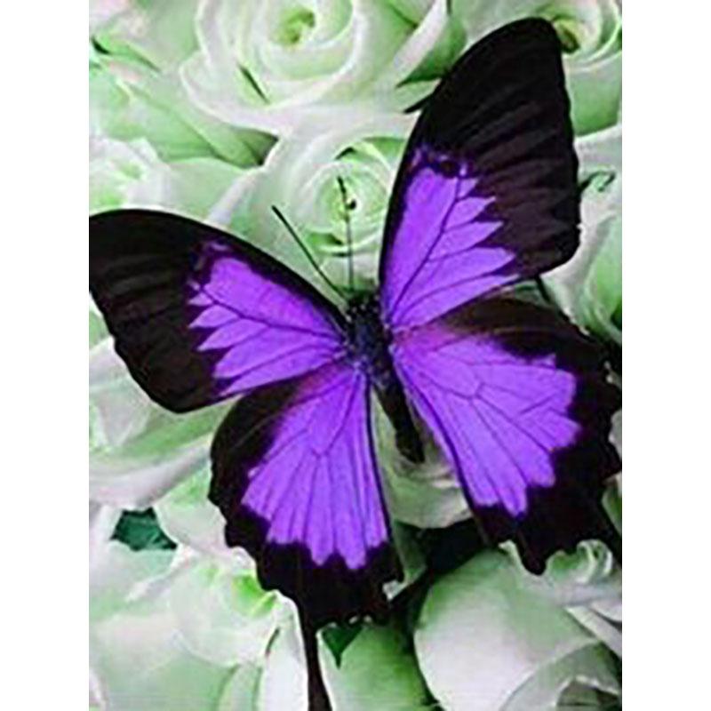 DIY Butterfly 5D Diamond Painting Full Round Drill Cross Ctitch Kits Animal Diamond Embroidery Mosaic Gift Wall Art Home Decor