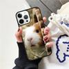 Hamster Guinea Pig Phone Case Cover For iPhone 17 Air 12 Plus Max for iPhone 17 Air 15 16 11 13 14 Pro Max Fundas