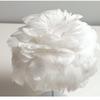 Ins Romantic Feather Table Lamp, Dimmable Bedside Night Light for Bedroom Decor