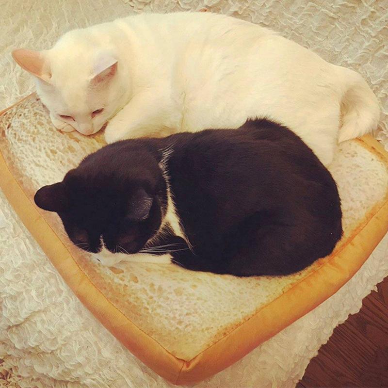 bread cat bed