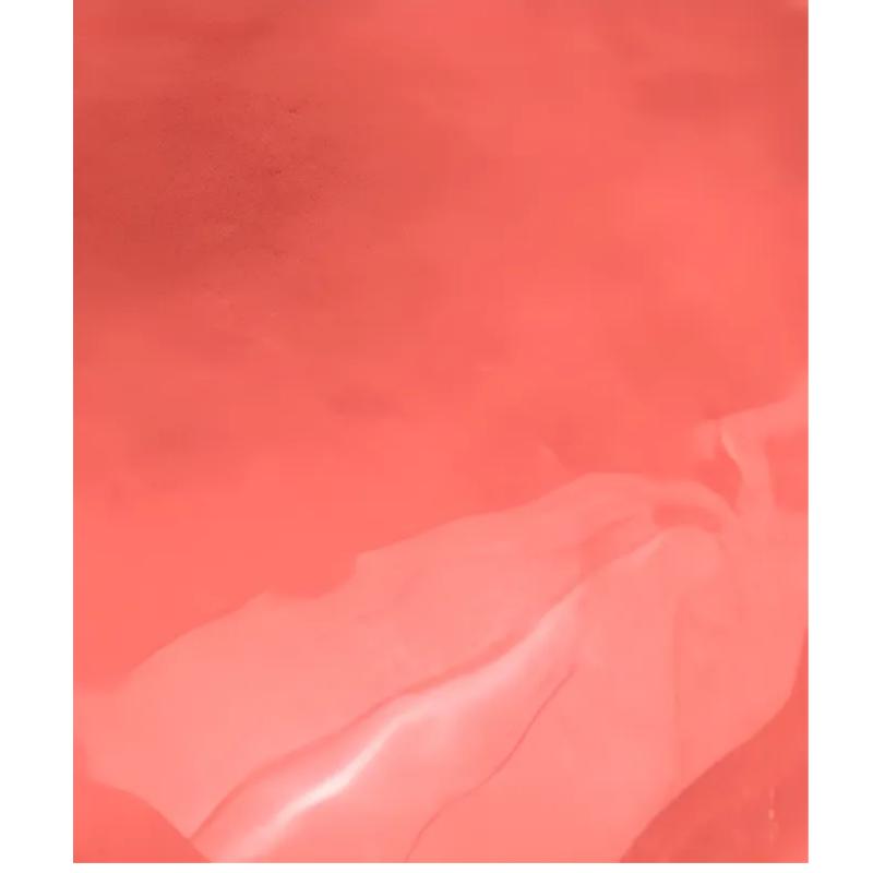 Rom&nd The Juicy Lasting Tint