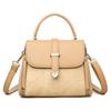 New High-end Versatile Handbag Niche Light Luxury Texture Shoulder Bag Women's Casual Simple Messenger Small Square Bag