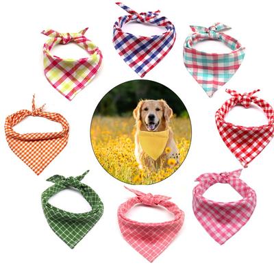 Giyim ve ayakkabı – Köpek Aksesuarları