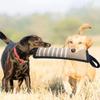 Dog Molar Toy with 2 Handles Tossing Teething Game Toy Reflective Pillow