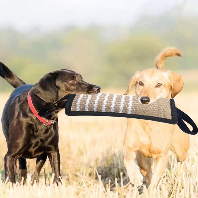 Dog Molar Toy with 2 Handles Tossing Teething Game Toy Reflective Pillow