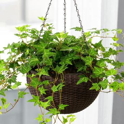 Macetas Colgantes de Riego Automático para Interior y Exterior Cesta Colgante Engrosada Maceta con Indicador de Nivel de Agua Maceta para Plantas Colgantes