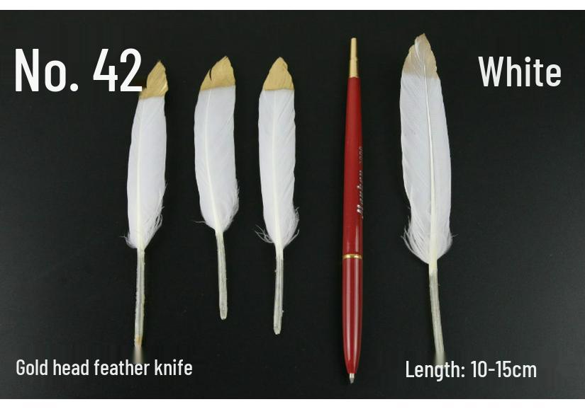 White Feathers for DIY Handmade Clothing & Jewelry Accessories