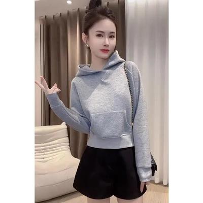 Moletom com Capuz e Mangas Longas de Temperamento Simples Estilo Coreano Feminino Casual Versátil