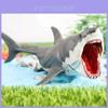 Modèle d'Animal Marin Grand Requin Blanc Jouet Avec Gueule Mordante Pour Affichage d'Aquarium