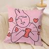 Cartoon OOpanchu Usagi Cushion Cover Silky Short Plush Invisible Zipper Dustproof Sofa Pillow Case For Home Decor