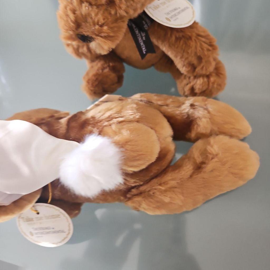 [USED] Teddy Bear - The Strings Hotel Tokyo InterContinental Hotel Commemorative Merchandise