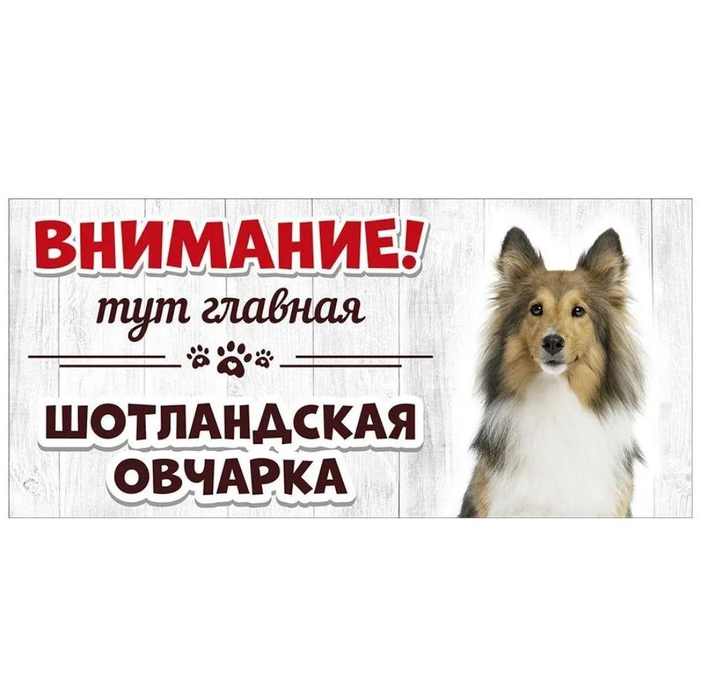 Evil Pomeranian Spitz Sign, Metal Fence Door Plaque 30x15cm