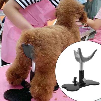 Fixed Dog and Gel Dog Pet Holder Comfortable Accessories Pet Dog Gift for Pet Grooming Cleaning Showering