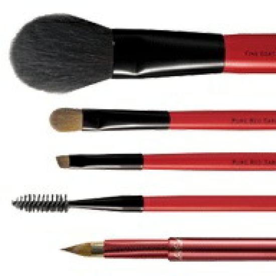 Takeda Brush Kumano Starter Set, Basic 5-Piece Camellia Makeup Brushes with Pouch & Gift Box, Authentic Handcrafted Japan, Professional Beauty Kit