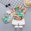 Summer Cartoon Casual Shirt & Shorts Set for Boys, Girls, Infants, and Toddlers