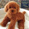 Ninian and Kino Realistic Toy Poodle Plush Dog Freely Approximately 33cm Lifelike Pet (Red) - Poseable, Long,