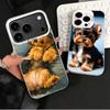 Yorkshire Terrier Dog Soft Phone Case for iPhone 15 16 17 Pro Max 17Air 16E 14 Plus 13 12 Mini Shockproof Cover Back Shell