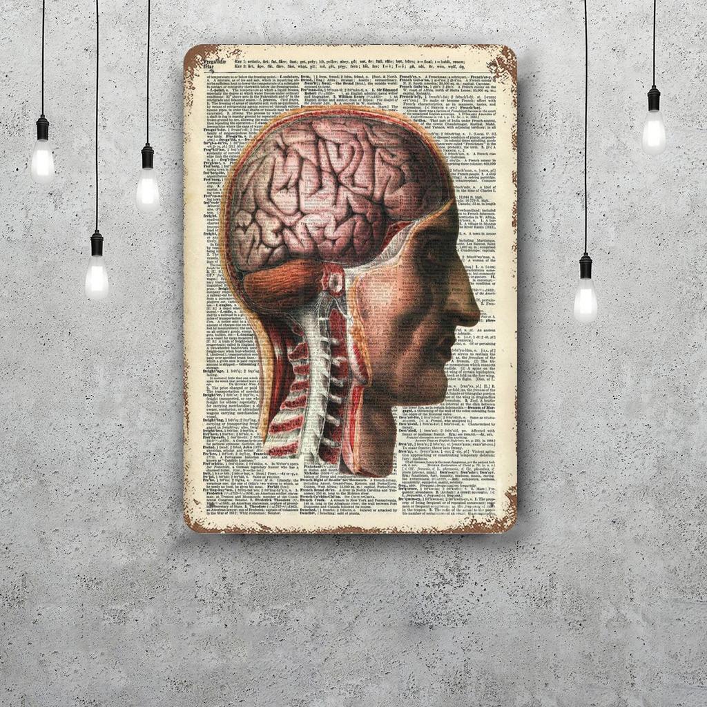 Brain Funny Bar Metal Sign Retro Plaque Vintage Sign Alcohol Drinker Pub Club Man Cave Kitchen Wall Decoration