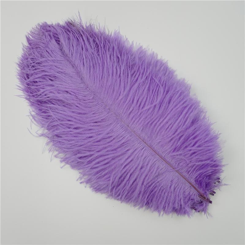 10Pcs Colorful Ostrich Feather Handicraft Accessories Dream Catcher Decoration Jewelry Creation Natural Plume Table Centerpieces