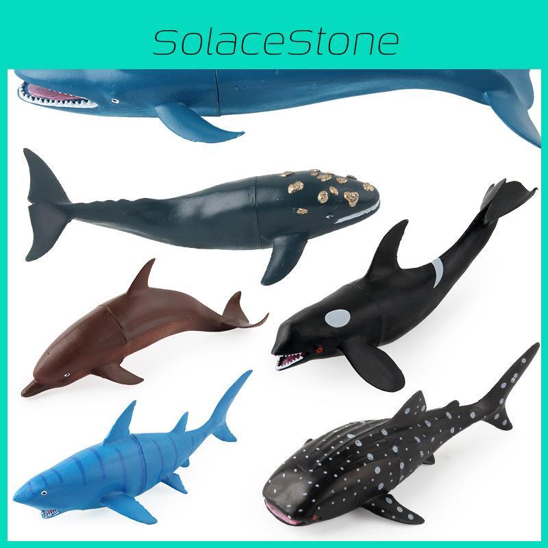 Childrens Marine Animal Model Set With Plastic Replicas For Educational Play