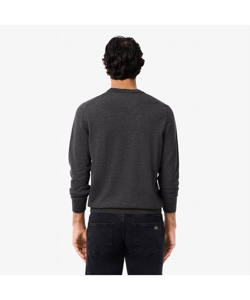 LACOSTE Men'S Merino Wool Crew Neck Sweater Ah1969-55N 050