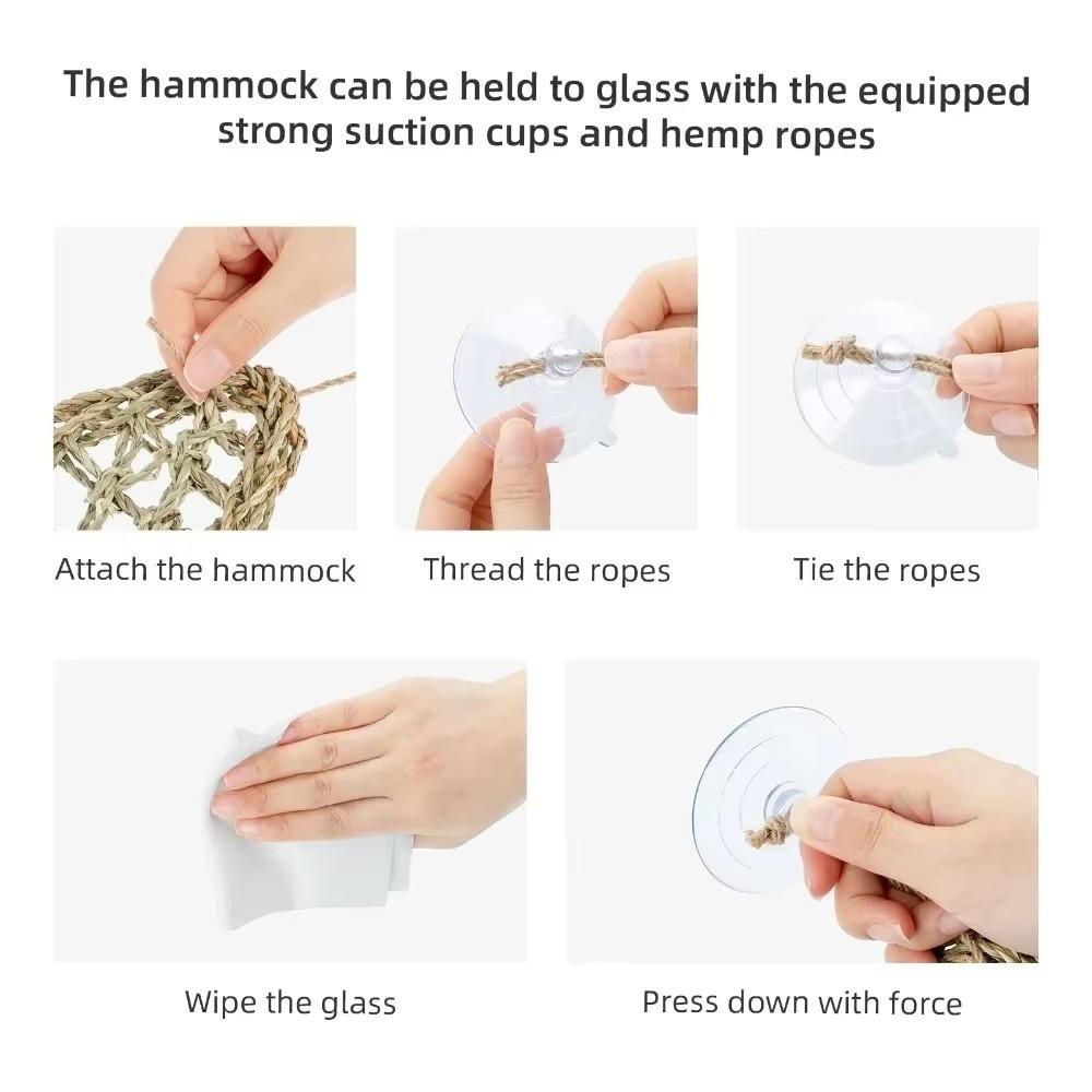 Suction Install Reptiles  Hammock Climbing Perch Lizard Rest Cushion  Cage Accessories
