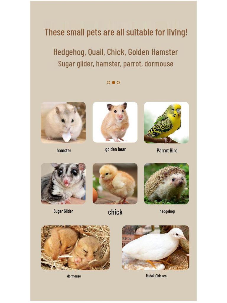 Luxury Extra-Large Golden Hamster Cage: Spacious, Easy-Clean, Anti-Bite Design