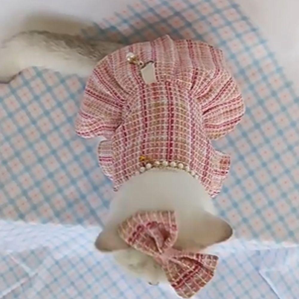 Cute Pet Princess Dress Breathable Pet Windbreaker Fashion Cat Skirt Autumn Winter