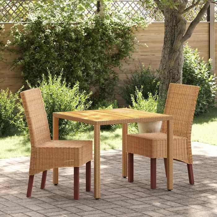 Chaises à manger - vidaXL - Lot de 2 - Rotin authentique - Bois massif - Style contemporain