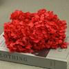20g Natural Dried Flowers Hydrangea Macrophylla Home Flowers Decoration Wedding Celebration Bouquet Materials