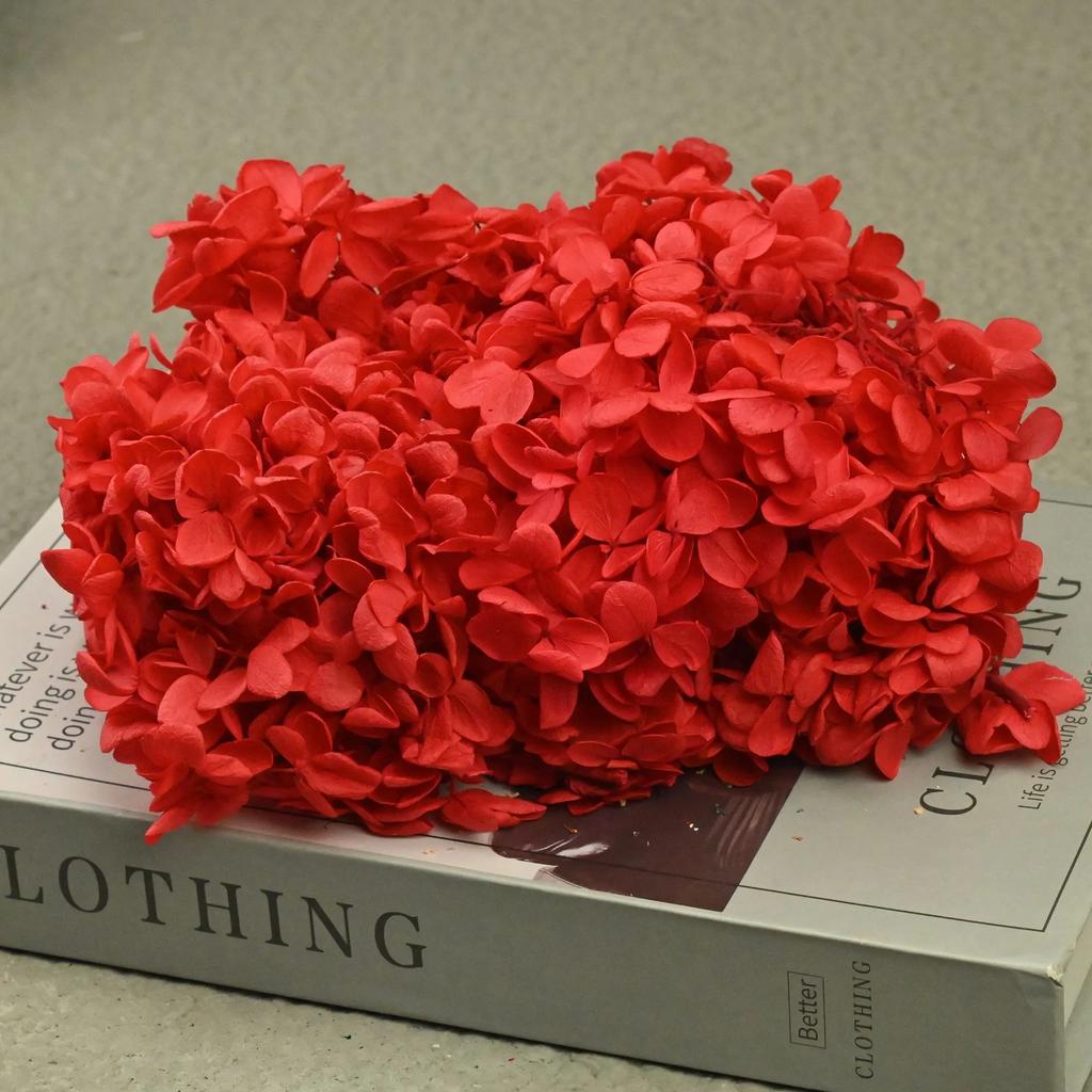 20g Natural Dried Flowers Hydrangea Macrophylla Home Flowers Decoration Wedding Celebration Bouquet Materials