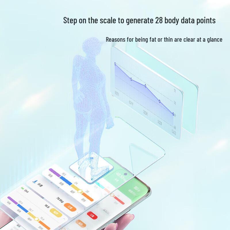 Bear Smart Body Fat Scale R18B1 (CN version)