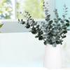 Eucalyptus Stem Decor 24 Leaves Plastic Iron Wire Artificial Fake Faux Eucalyptus Stem for Home Party Wedding Decoration